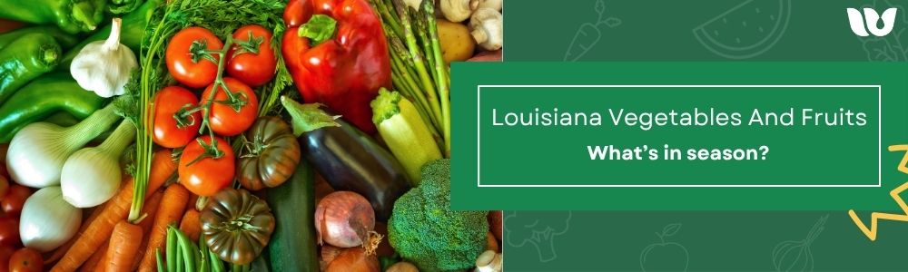 Louisiana veggies and fruits. What's in season?